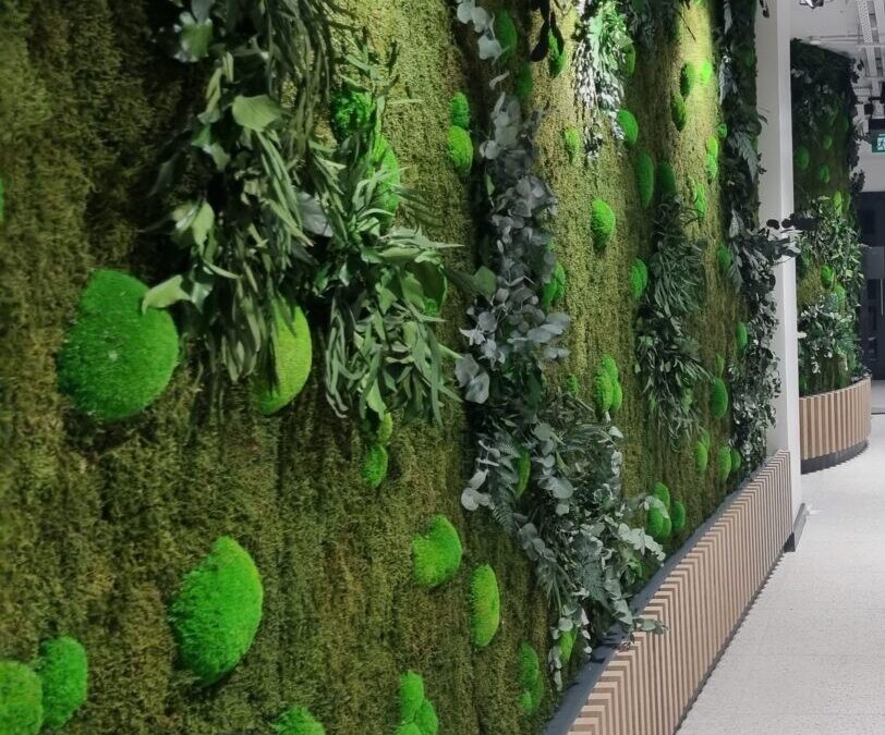 Green Walls and it’s importance for the employee well-being