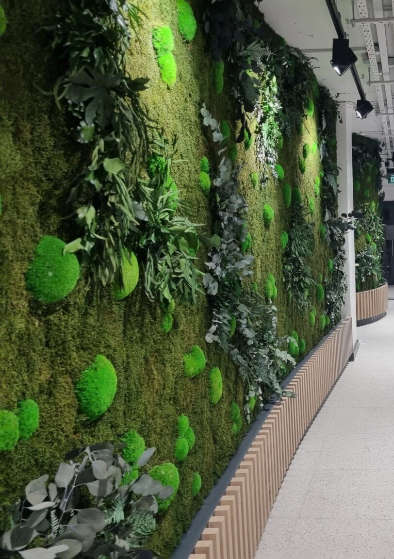 Green Walls and it’s importance for the employee well-being
